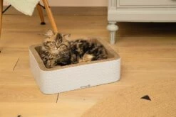 Gazebo Parts Direct Sales Store -Huisdierbenodigdheden Verkoopwinkel 0405182 sfeer3