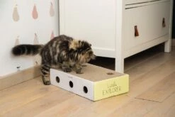 Gazebo Parts Direct Sales Store -Huisdierbenodigdheden Verkoopwinkel 0405185 sfeer2