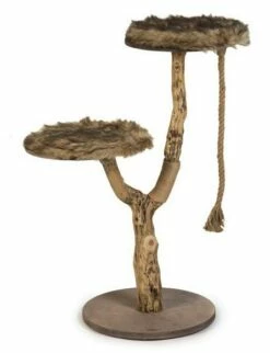 Designed By Lotte Krabpaal Elora -Huisdierbenodigdheden Verkoopwinkel 0408866 det2