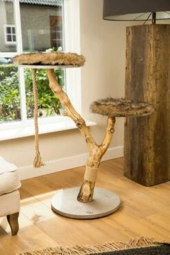 Designed By Lotte Krabpaal Elora -Huisdierbenodigdheden Verkoopwinkel 0408866 sfeer1