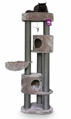 Petrebels Krabmeubel Kings & Queens Charlotte 180 Capp. 5 Petrebels Krabmeubel Kings & Queens Charlotte 180 Capp. -Huisdierbenodigdheden Verkoopwinkel 431186 1