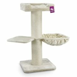 Petrebels Krabpaal The Rebels Maine Coon 117 Rebel Cream