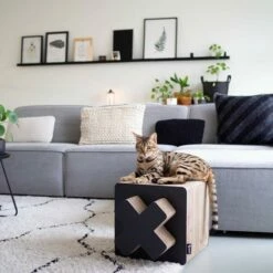 District 70 Treasure Black L 8 District 70 Treasure Black L -Huisdierbenodigdheden Verkoopwinkel 8717202613793 2