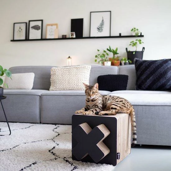 District 70 Treasure Black L 5 District 70 Treasure Black L - Afbeelding 3