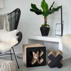 District 70 Treasure Black L 9 District 70 Treasure Black L -Huisdierbenodigdheden Verkoopwinkel 8717202613793 3